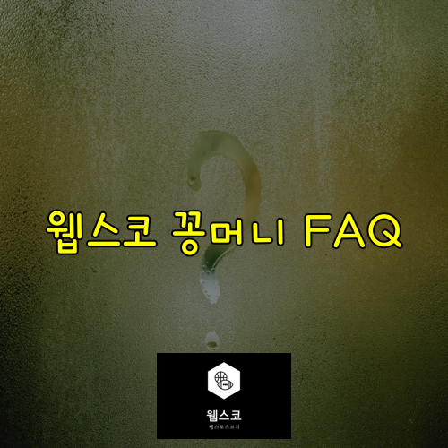 웹스코 꽁머니 FAQ